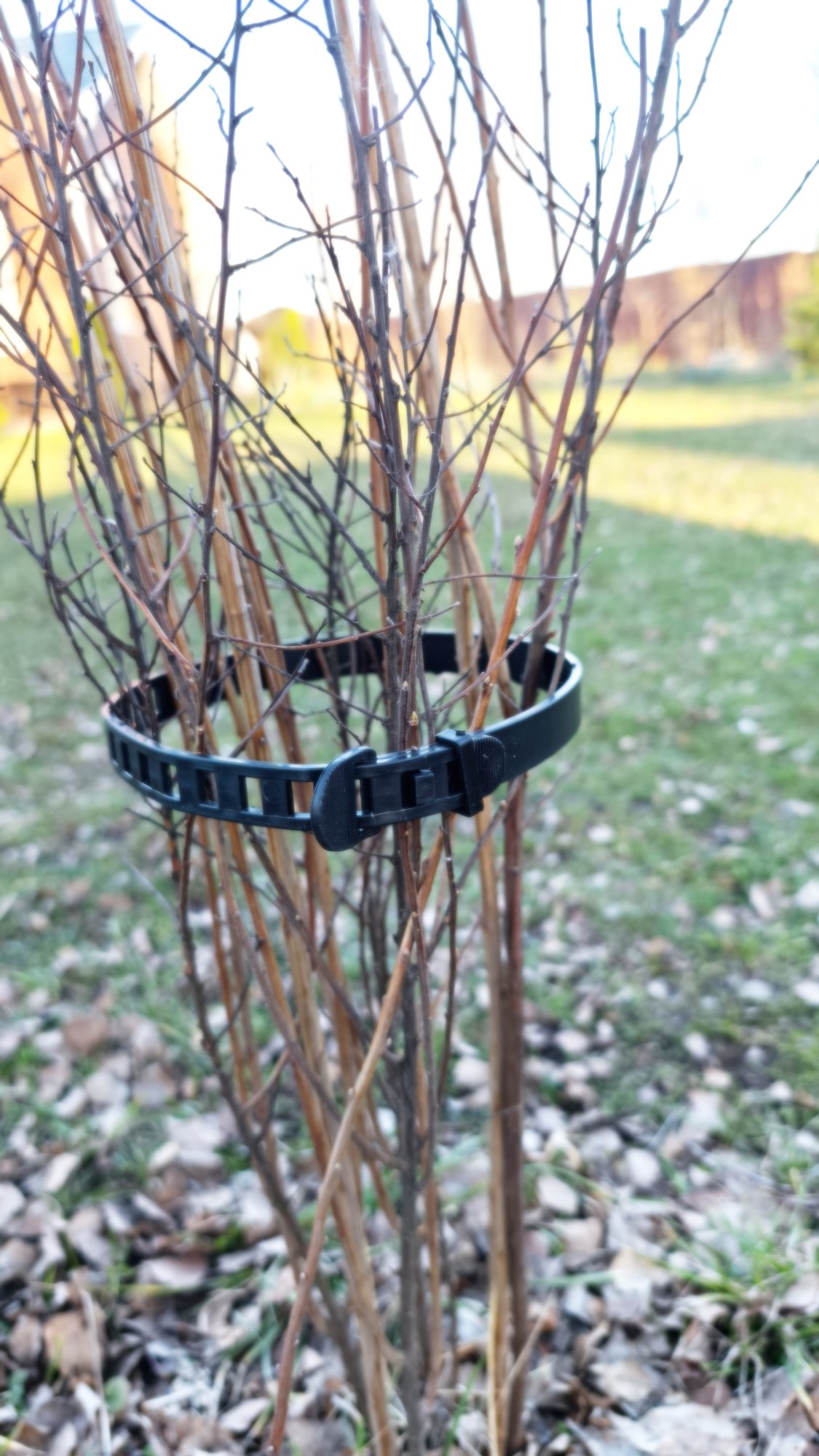 Хомут-стяжка для подвязки растений  PROTEX 