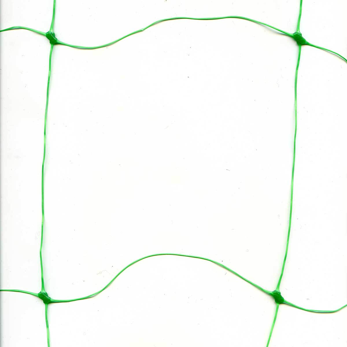 Сетка шпалерная 150*150/2х10м САДОВИТА