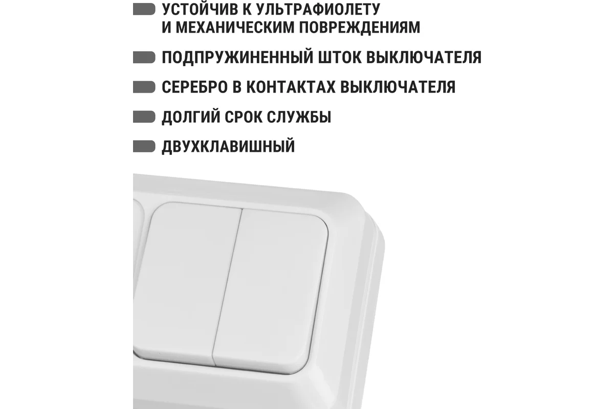Блок комбинированный выкл. 2-кл. 10А + розетка 2П 10А 250В БКВР IP20 белый "Ладога" TDM*
