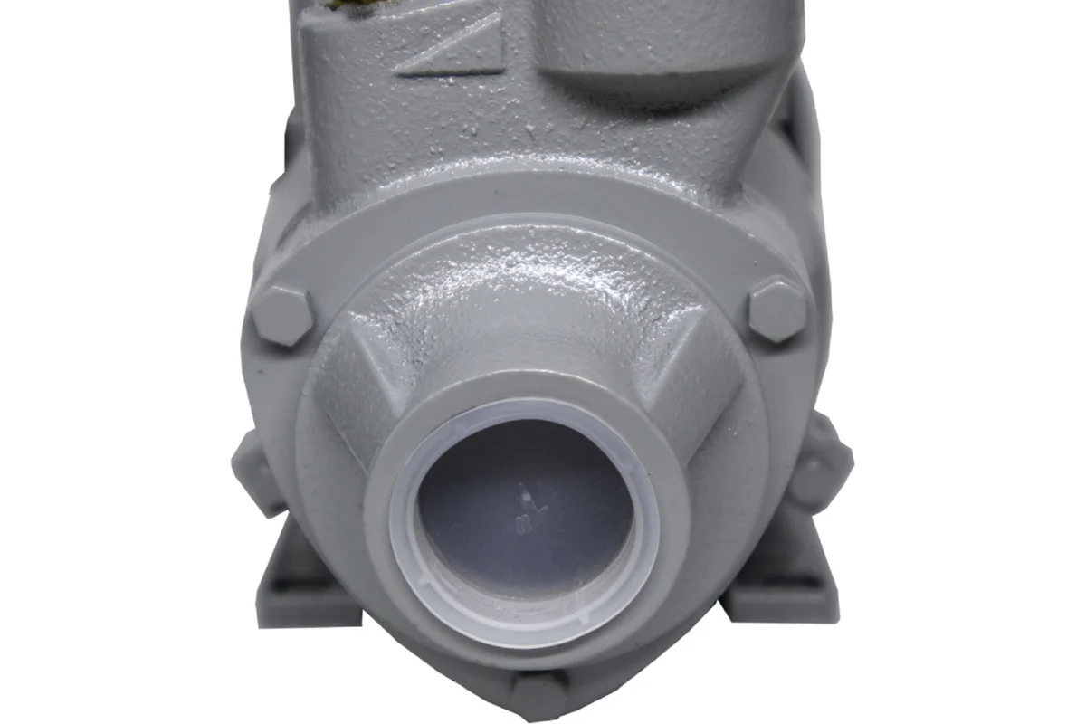 Поверхностный насос Ресанта ПСН-2400Ч 370Вт,в/п30м, 40л/мин,г/в 9м, 1"