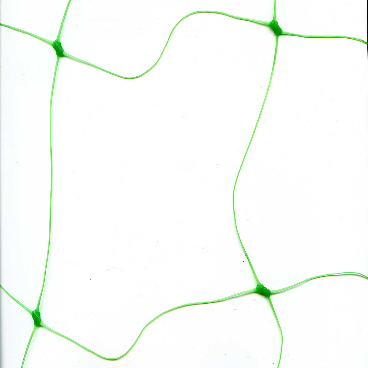 Сетка шпалерная 150*150/2х5м САДОВИТА